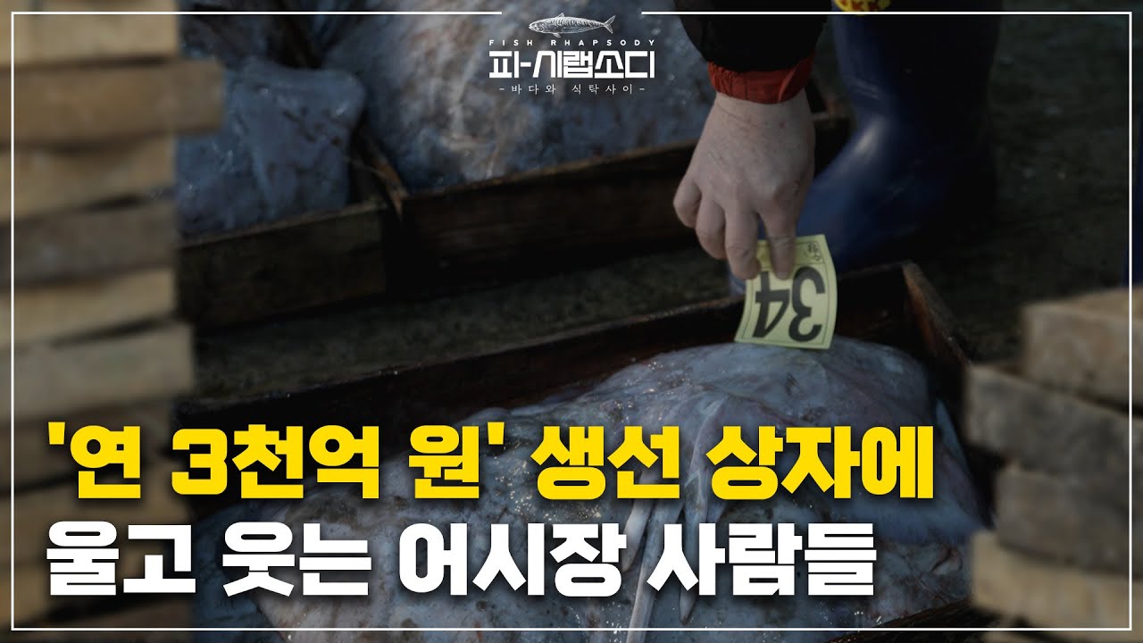 낡고 지저분한 나무 상자가 어시장에서 60년간 사랑 받은 이유 |부산공동어시장| 피시랩소디(Fish Rhapsody)| EP.02.어상자