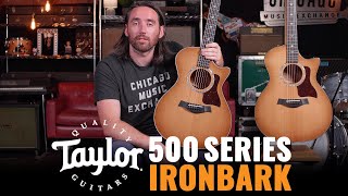 Taylor 500 Series Urban Ironbark | CME Gear Demo | Nathaniel Murphy