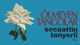 Şecaattin Tanyerli - En Son Hatıran #ölmeyentangolar