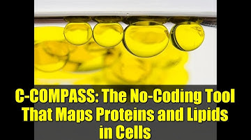 C-COMPASS: The No-Coding Tool That Maps Proteins and Lipids in Cells