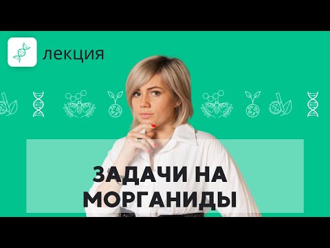 Вспомним МОРГАНА! Как решать ЗАДАЧИ с МОРГАНИДАМИ? | Подготовка к ЕГЭ 2023 по БИОЛОГИИ