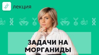 Вспомним МОРГАНА! Как решать ЗАДАЧИ с МОРГАНИДАМИ? | Подготовка к ЕГЭ 2023 по БИОЛОГИИ