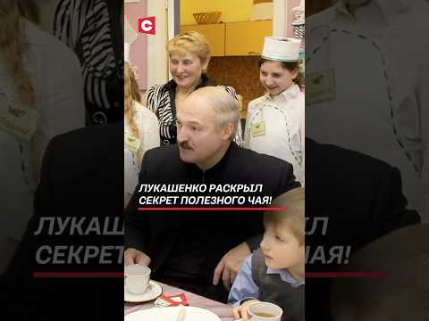 Лукашенко раскрыл секрет полезного чая! #лукашенко #беларусь #архив #чай