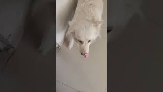 Naina S Hard Timebathing