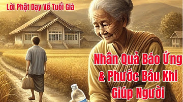 Lời Phật Dạy Về Tuổi Già: Nhân Quả Báo Ứng & Phước Báu Khi Giúp Người