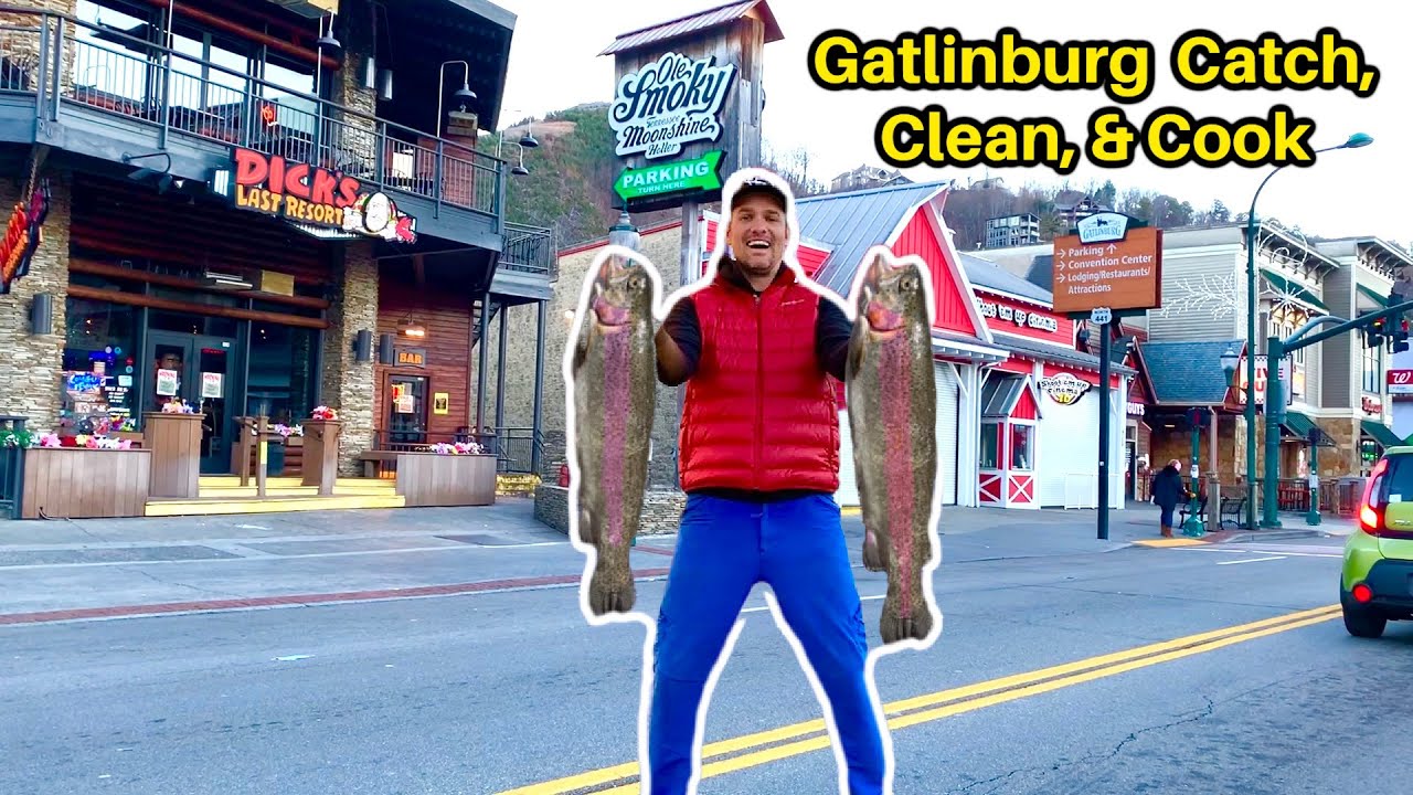 Catching Trophy Fish In Downtown Gatlinburg! **Catch, Clean, and Cook