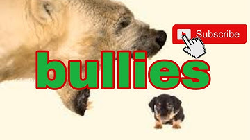 BULLIES. Excel 7th grade. Module 8