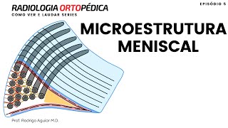 05 - Meniscal Microstructure (Practical Approach)