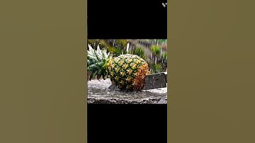 “Satisfying AI pineapple  Fruit Cutting in Rain 🌧️ | Ultra Realistic 8K ASMR”#shorts