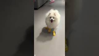 Physics Engine Failure