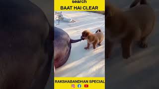 Happy Rakshabandhan Baat Hai Clear Funny Magahi Dubbing.