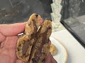 Recette de cookies au nutella au thermomix tm6 facile