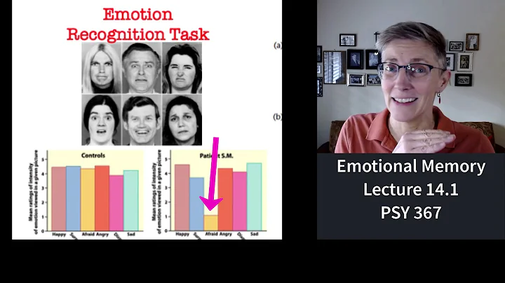 367 Lecture 14.1 Emotional Memories