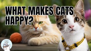 🐈Understanding Cat Happiness: What Makes 😻 Cats Happy? by cats aid 174 views 1 month ago 3 minutes, 5 seconds