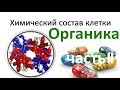 3.Химия клетки - органика часть II (9 или 10-11 класс) - биология, подготовка к ЕГЭ и ОГЭ 2018