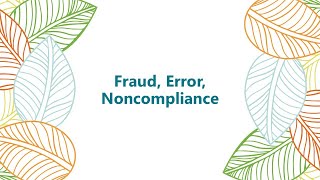 Audit Snapshot: Fraud Error Noncompliance