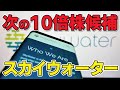 国策銘柄!! 株価急騰で注目が集まるSkyWater Technology、一体なにがすごい!? 分かりやすく解説
