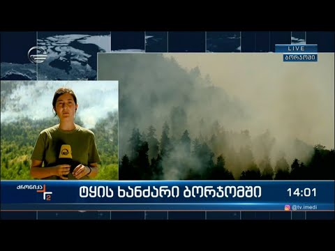 ბორჯომისა და ახალციხის ტყეებში ხანძარსაწინააღმდეგო სამუშაოები გრძელდება