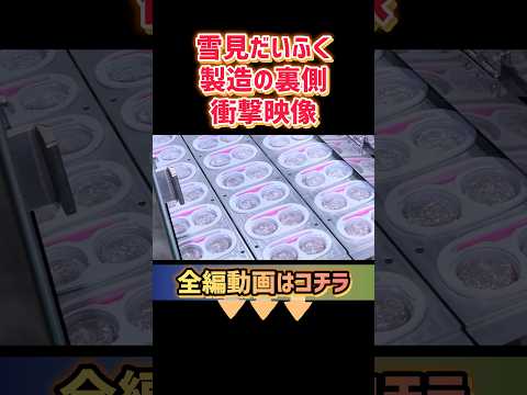 雪見だいふく製造工場で雪見だいふくに囲まれた #濱口優 #濱口優と秘密基地 #ロッテ