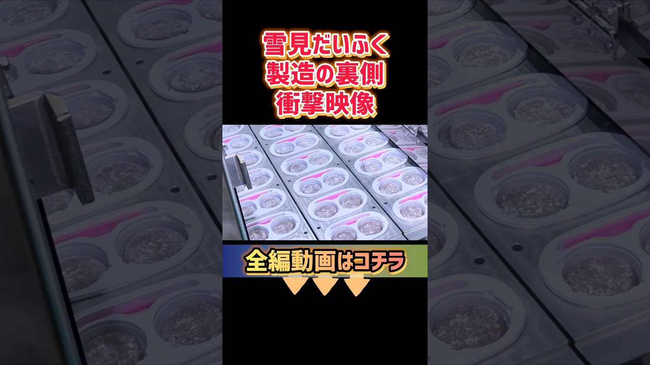 雪見だいふく製造工場で雪見だいふくに囲まれた #濱口優 #濱口優と秘密基地 #ロッテ