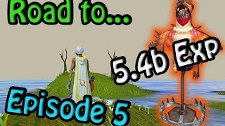 Runescape - Road to 200m All Skills l Episode 5
Continuing our road to 200m all skills this episode featured double exp weekend and that is where most of my exp has come from this past month as I am camping Telos until I get my 3rd orb.
Let me know how you all did during dxp weekend and I shall see you in the next video
Song - Stonebank - The Only One (feat. Ben Clark) Runescape - Road to 200m All Skills l Episode 5