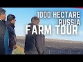 Farming in Russia. Agri Business. 1000 Hectare Farm in Russia. Small Business Ideas 2022. Apples.