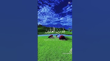 تلاوه خاشعه #قران_كريم #اكسبلور #المصحف