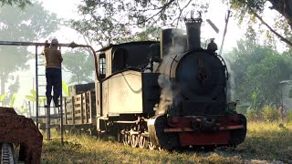 the Cepu Forestry Railway