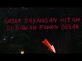 SOSOK BAYANGAN HITAM DI POHON BESAR 😱