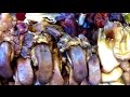 Asian Street Food - Cambodian Street Food Compilation - Asian Foods #2