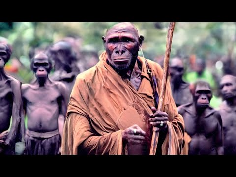 видео: Произошедшее в Уганде Шокировало Мир. Необычные Находки Фермеров