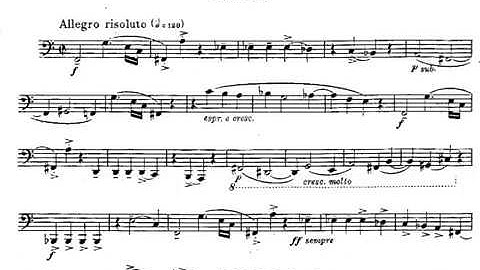 Vincent Persichetti - Serenade No. 12 for Tuba, Op. 88 (1961) [Score-Video]