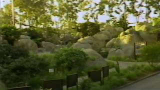 San Diego Zoo 'It's A Wild Life' Circa 1988