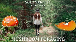 [21] SOLO Van CAMPING | WILD Mushrooms Foraging | Soothing | ASMR