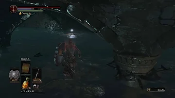探究者の遺灰