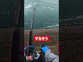 金属のタコ【Metal Octopus 】