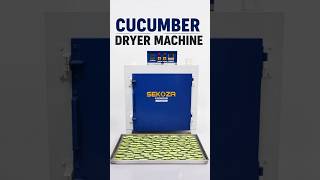 Efficient Vegetable Drying with Sekoza Dryer Machine | Cucumber Demo