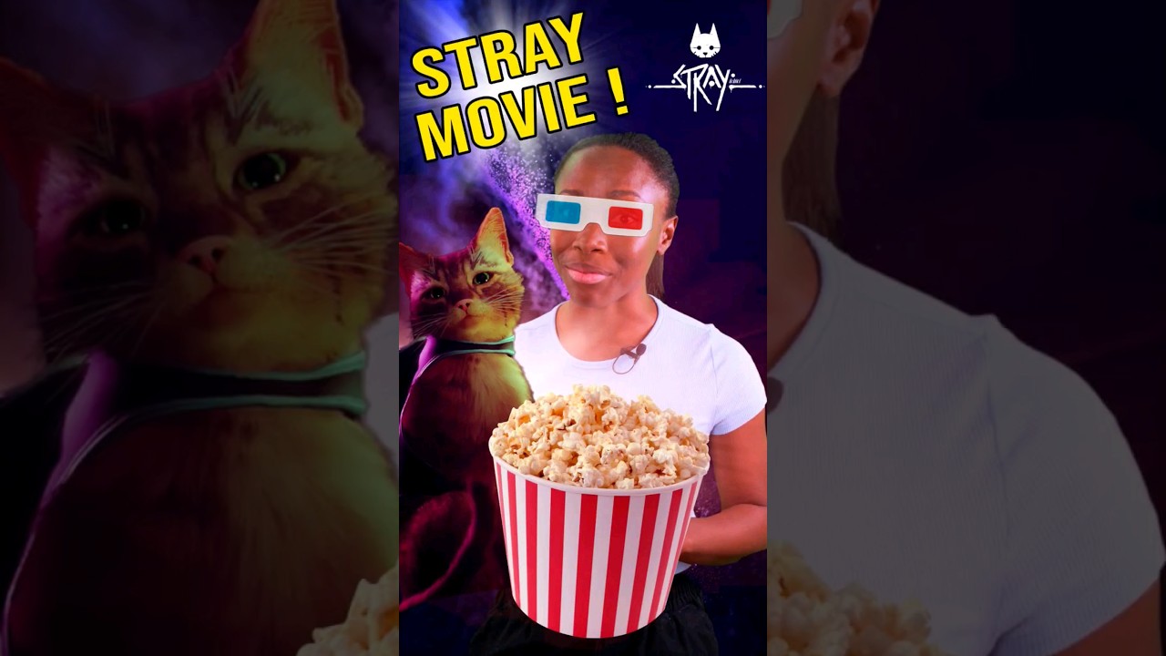 O filme mais fofo dos cinemas! #stray #jogodogatinho #catgame #game #c