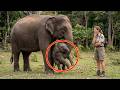 The mother elephant carried her baby to beg for help, but what she did next was unbelievable