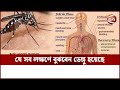        dengue symptoms  channel 24