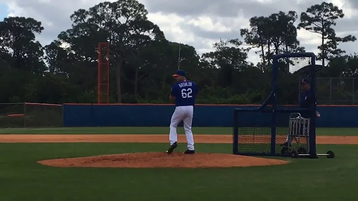 Mets' P.J. Conlon, Tyler Bashlor throw live BP