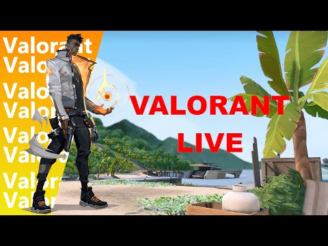 Playing after many days VALORANT LIVE |Vikky Gaming | #valorant #valorantindia #valorantlive