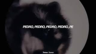 PEDRO PEDRO PEDRO PE  (LETRA/LYRICS)