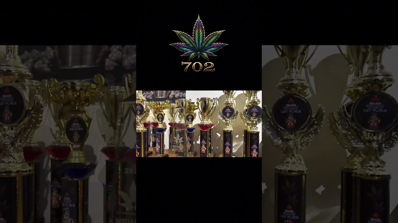 Where to Get the Best Cannabis Seeds Online 🌱 | My #1 Recommendation 