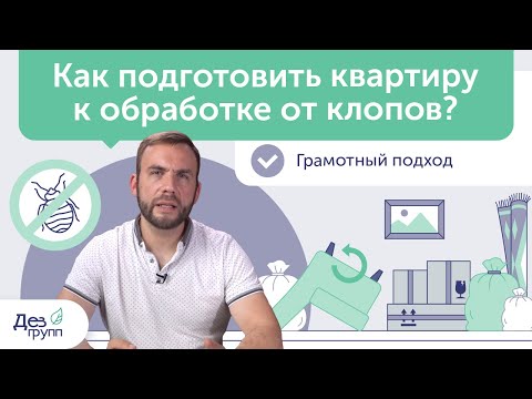 Как подготовить квартиру к обработке от клопов? | Подготовка квартиры к приезду сэс | Дезинсекция