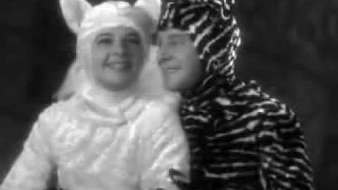 Cat Women - Sittin' On A Backyard Fence - Busby Be...