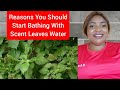 Start bathing with scent leaves water and prosper