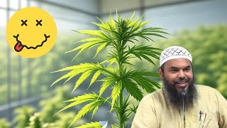 Using weed for medical purposes? | Shaykh Uthman Ibn Farooq