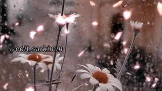 Sezen Aksu - Seyirlik Değil Ömürlük Olsun(Edit)