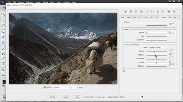 RAW Corrections: Introduction (PSE 11+, Elements+)